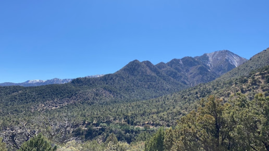 Chiricahua Mountains 8