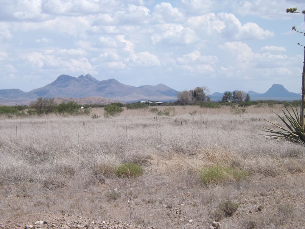 Rare 10 acres, Grassy savanna in the desert