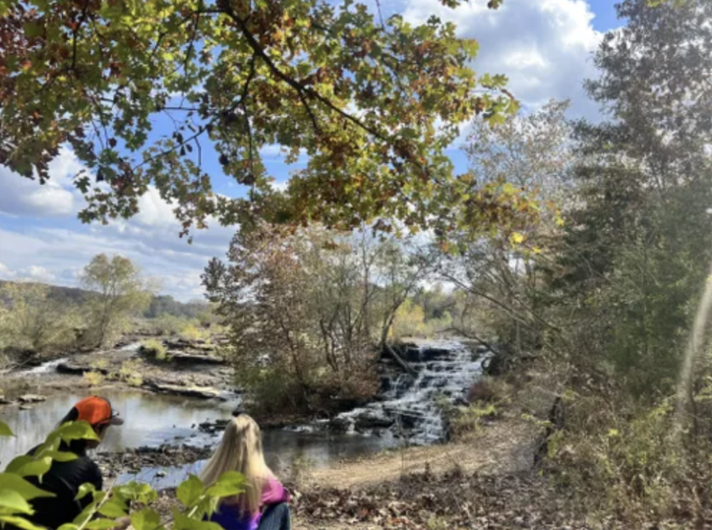 Quaint Airbnb property w/Mature trees. Minutes away from Lake Mirandy.