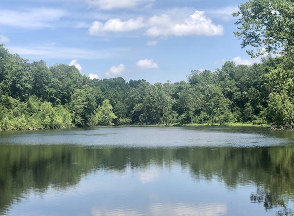 Your own private campground near Moore Hallow in the Ozarks