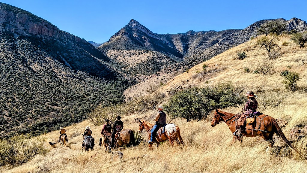 Rare 10 acres, Grassy Savannah in the Desert. Zoned RU-4