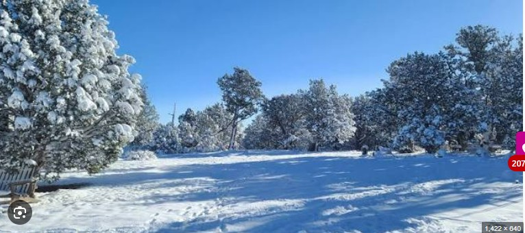 40 Unrestricted Acres in the Juniper Pines of Arizona near Prescott, Flagstaff, and Williams