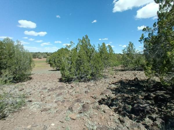 Juniper Ranch