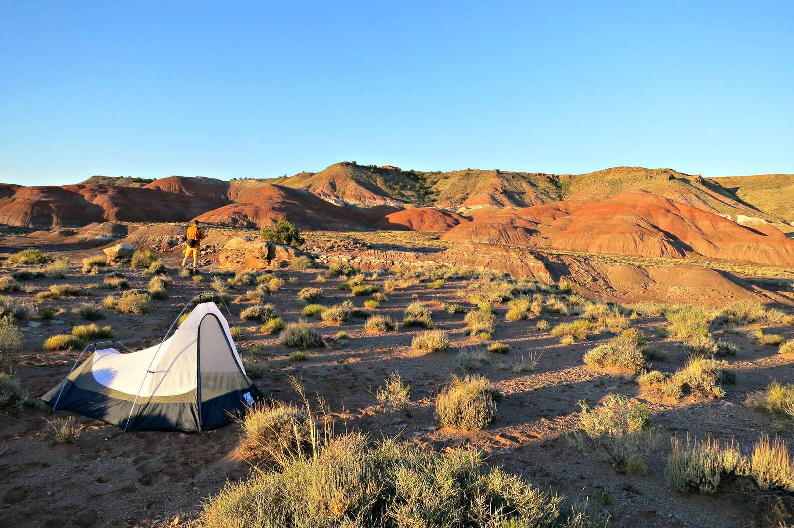 LEAD PHOTO petrified forest camping navajo