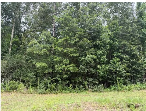 30 Unrestricted acres in the woods. Camping Allowed. Hunting Allowed. East Texas